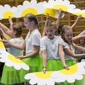 Skolni akademie 109