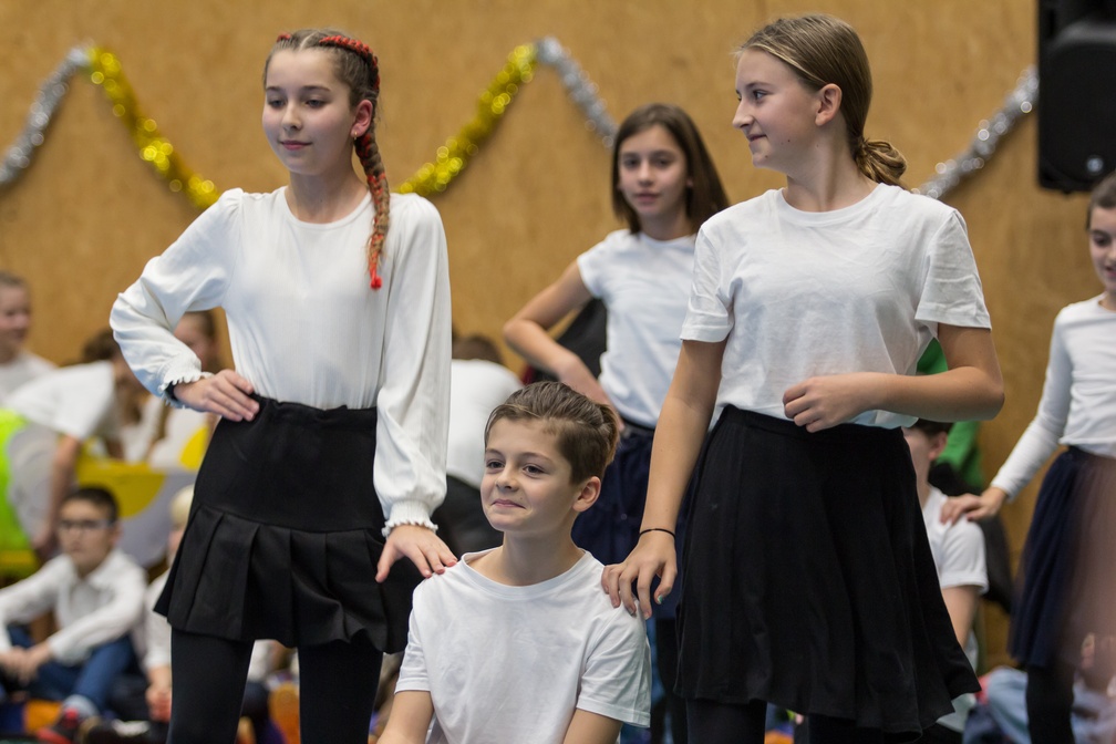 Skolni akademie 118