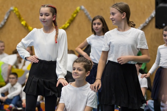 Skolni akademie 118
